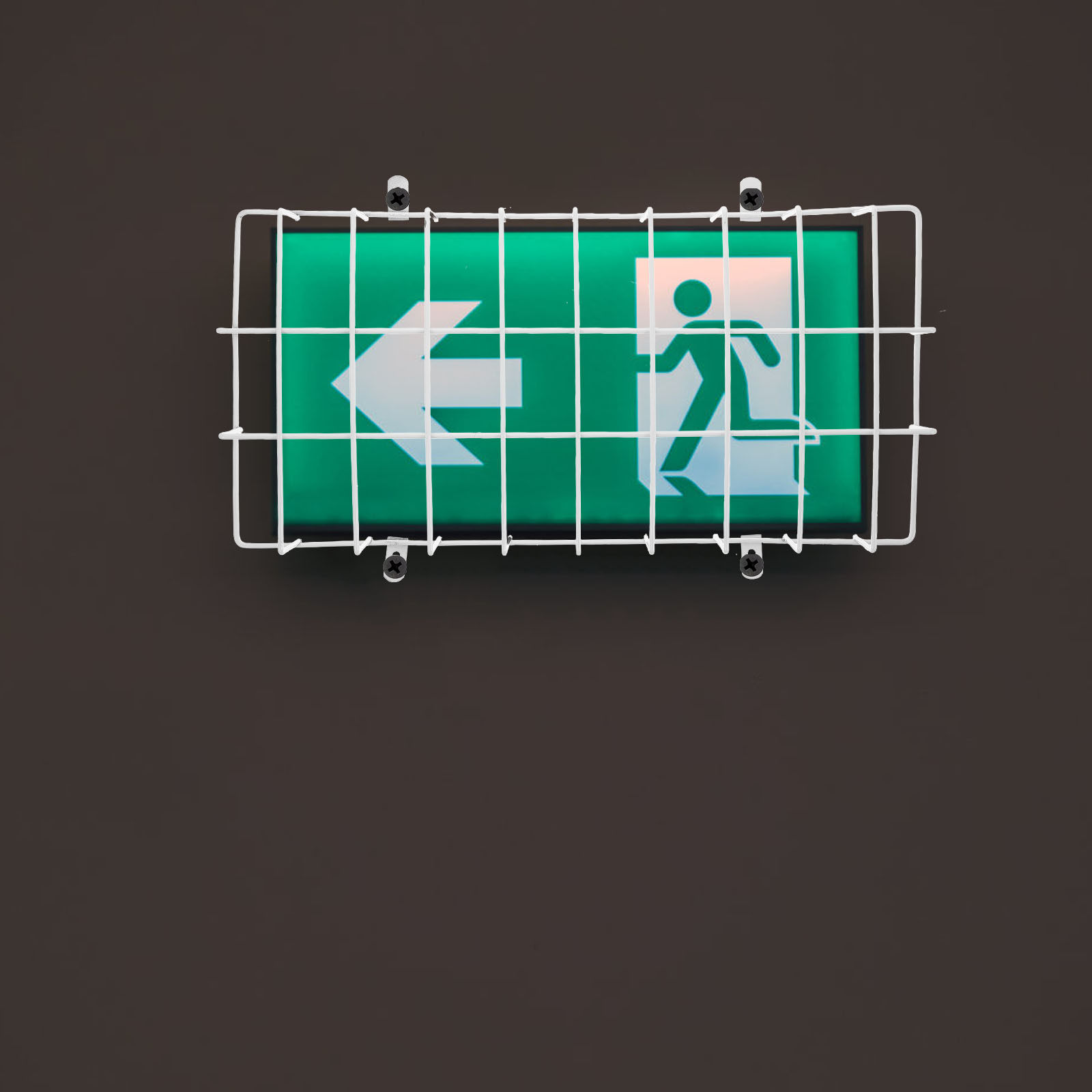 Emergency Exit Sign - Uitgangsbord Lichtdraadbeschermer Metalen beschermkap RVS Wandmontage